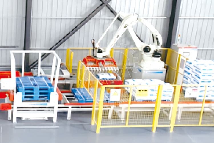 Automatic Packing & Palletizing Line, Guangdong